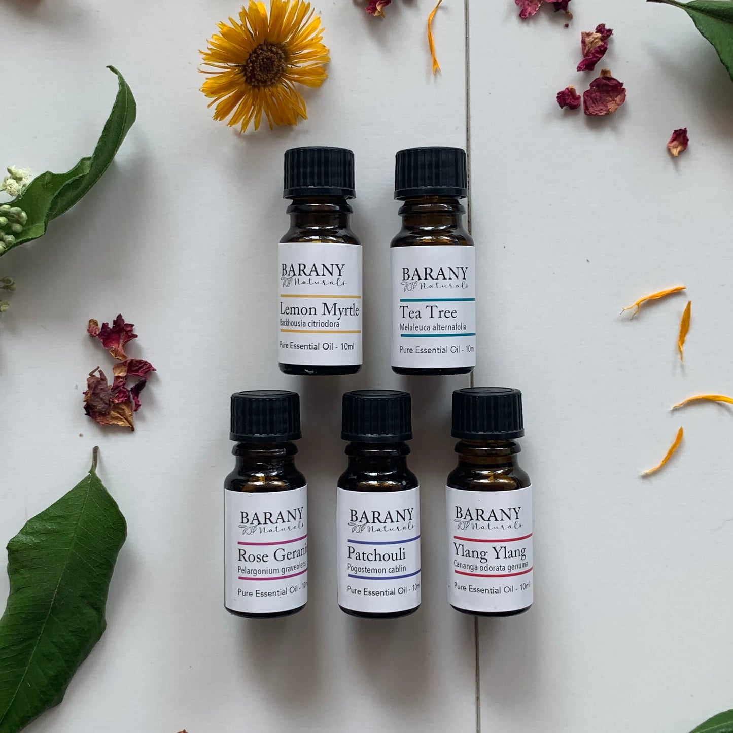 Essential Oils P-Z